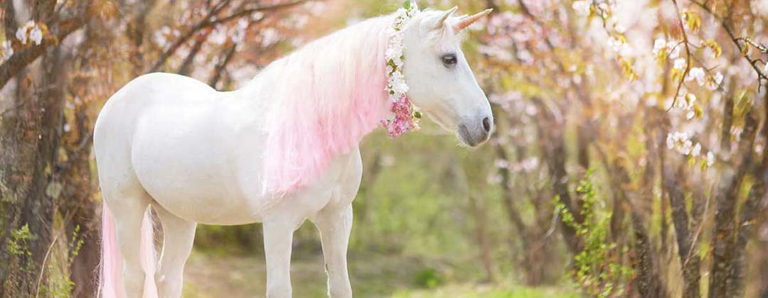 image-encyclo-licorne