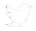 icone-twitter